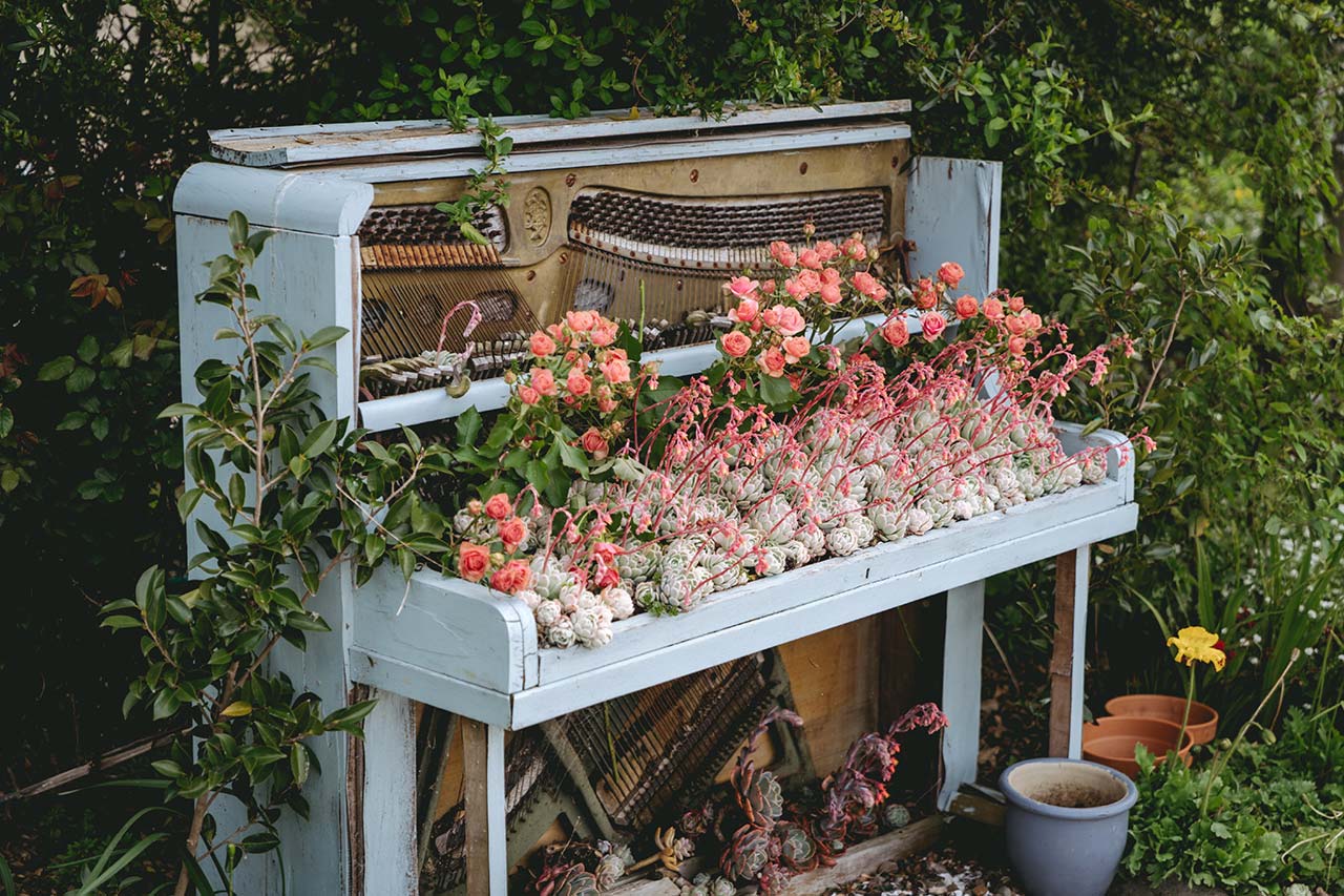 Romance Blossoms at Rosebrooke: Your Dream Venue in Manawaru